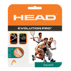 CORDAGE SQUASH HEAD EVOLUTION PRO - 